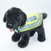 Police-Dog-Black-Labrador-1